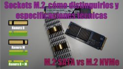 M.2 SATA vs M.2 NVMe sockets como distinguirlos