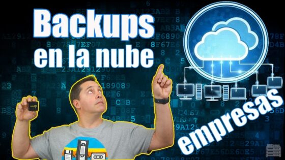 Backup en la nube para empresas. Tipos de backup - NASeros