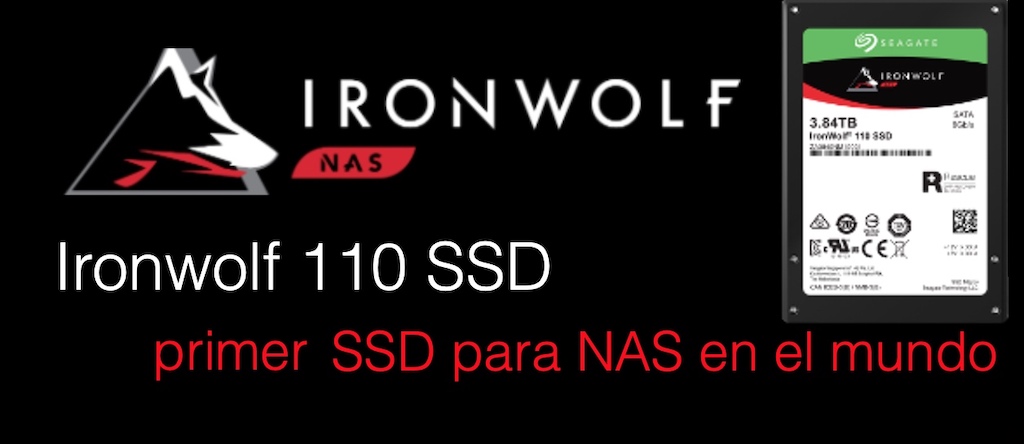 ironwolf 110 ssd seagate